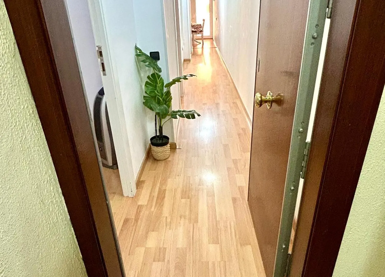 Apartment Carrer D'Olesa Barcellona 0*,  Spagna